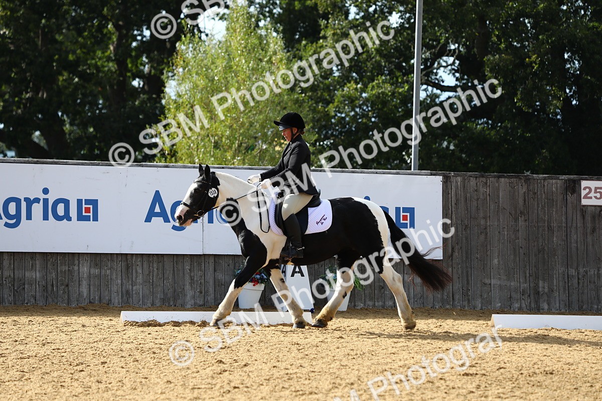 SBM_26732 - D11 - Small Tour Championship Prelim 1