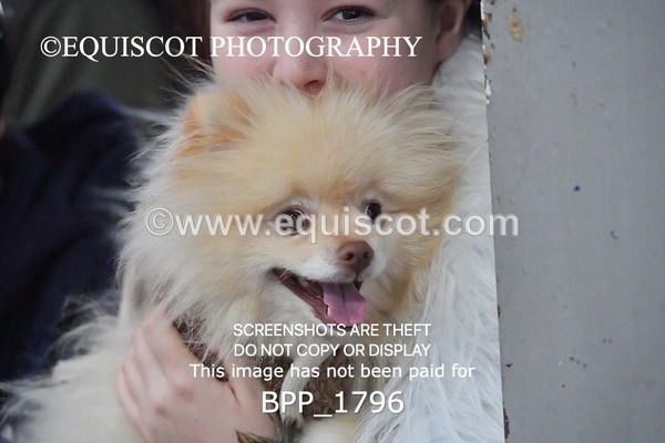 BPP_1796 - CLASS 2 TEAM SJ 40CM