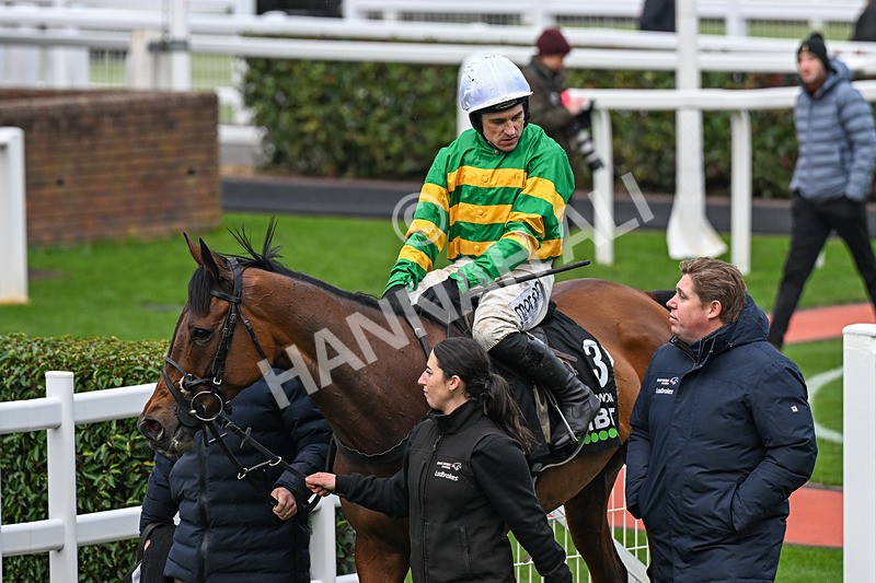 240126-Race 6-The New Lion-7527 - Race 6