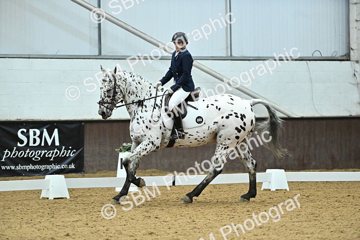 SBM_007512 - Class 81 - Novice 3