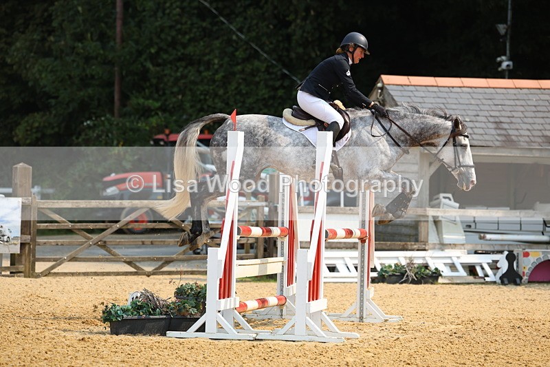 3E7A1214 - Class 4: Senior British Novice/90cm open