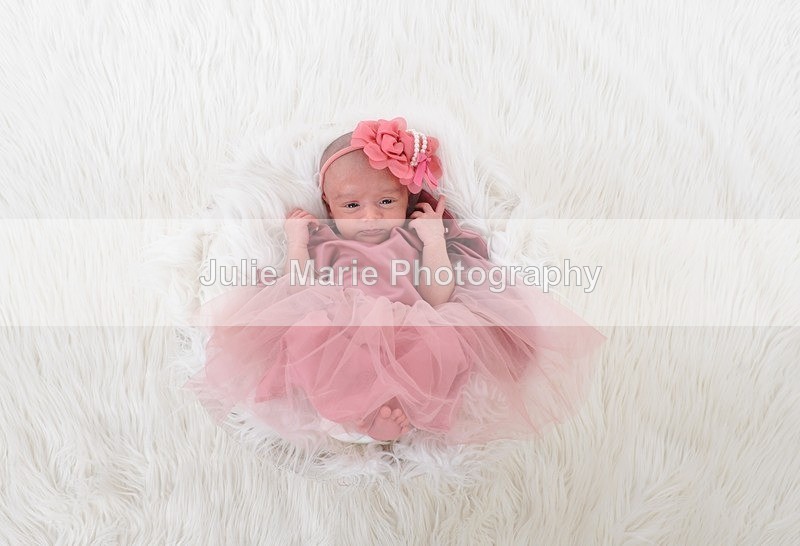 DSC_3663 - Taybah Ditta