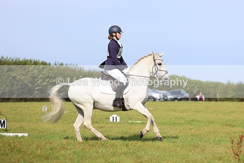 3E7A6245 - Class 1: Trebudannon Open: Dressage (Part 2)