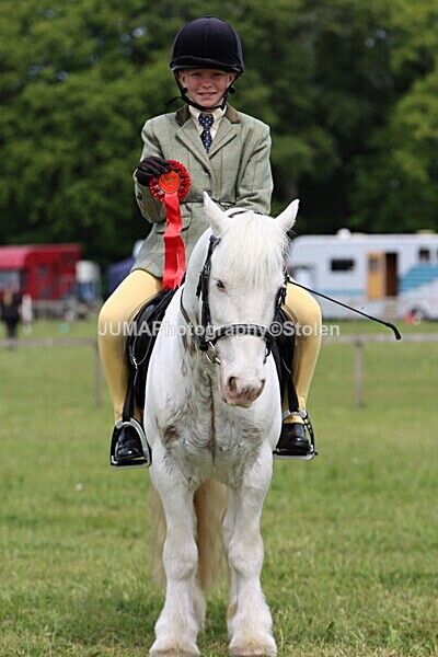 IMG_2725 - Working Hunter