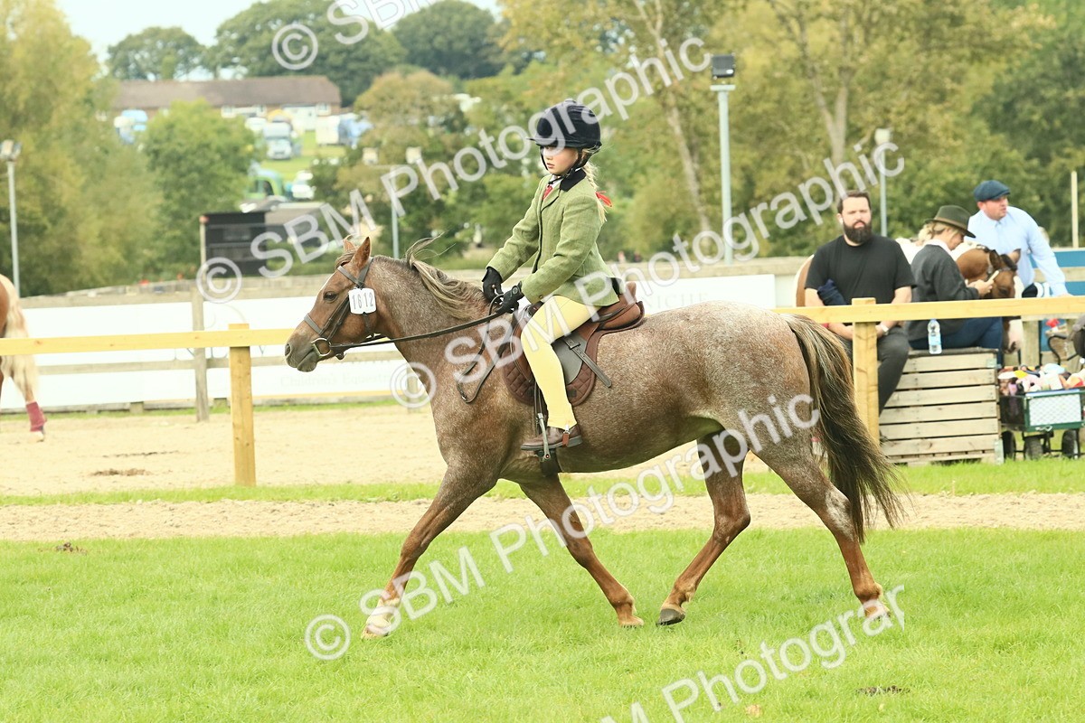 SBM_69962 - S59 - Mountain & Moorland Ridden Small Breeds