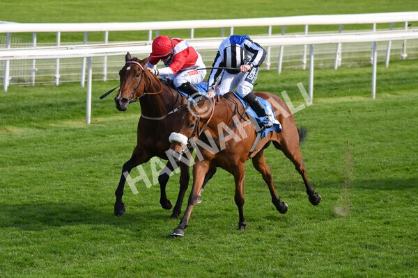 yr13052021r7-19 - Race 7 4.50pm Autohorn Stakes