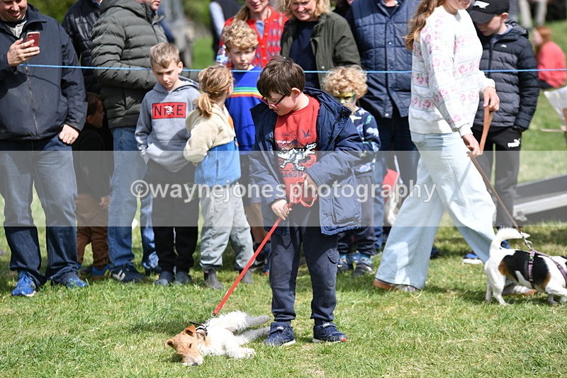 WJ5_0618 - Class 7 Best Terrier