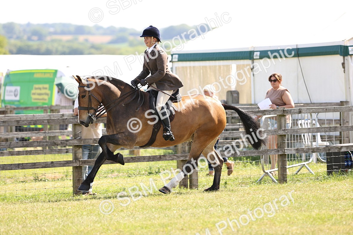 SBM_13762 - Class 77 - LIHS BSHA Rising Star Cobs