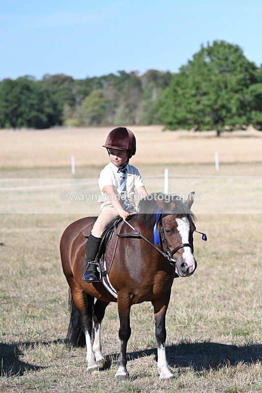 WJ7_2234 - Class 44 Child's Best Friend