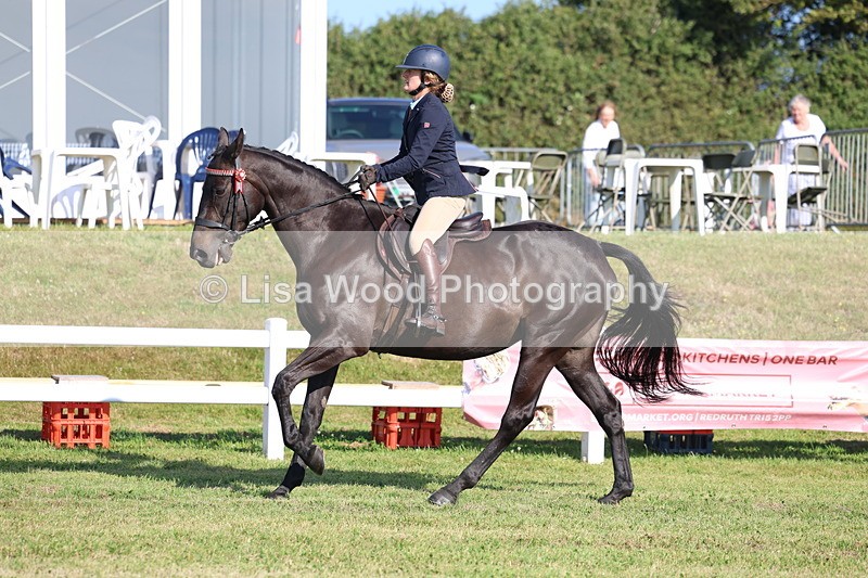 3E7A5609 - Class 2: Rising Star Large Hack/Riding Horse