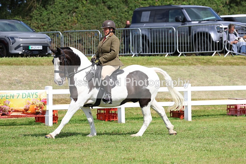 3E7A9748 - Class 5: Rising Star Lightweight/Heavyweight Cobs