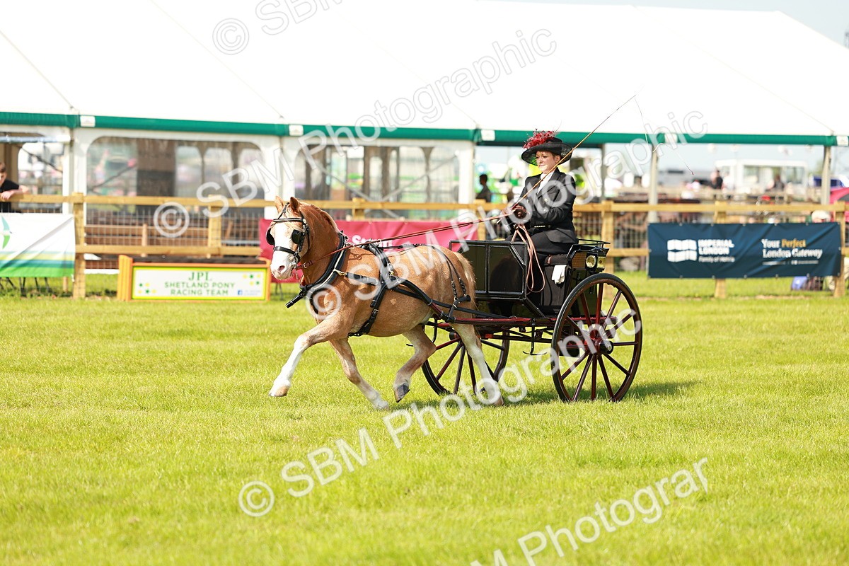 SBM_02675 - Class 2-4 - HOYS Private Driving