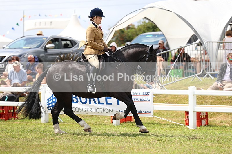 3E7A1918 - Class 10: Open Cob