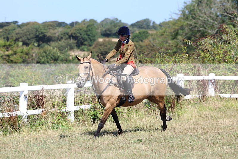 3E7A6417 - Working Hunter Championship