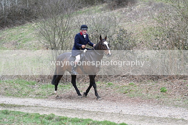 WJ7_7348 - Walk Home