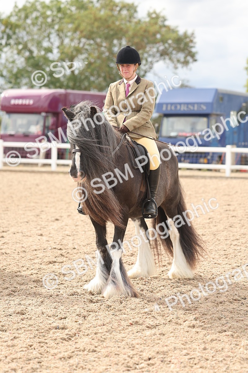 SBM_18039 - Class 314 - Family Horse Pony