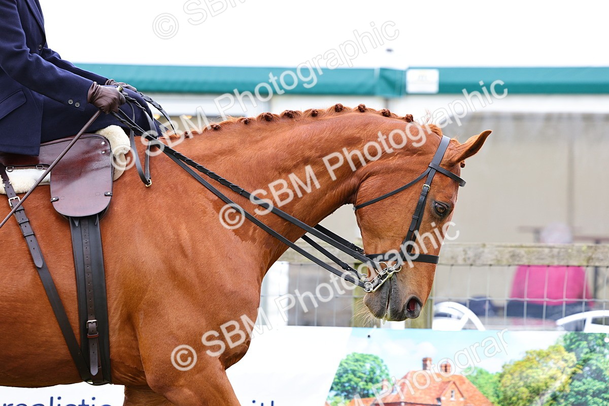 SBM_02853 - Class 9-11 Side Saddle including LIHS Rising Star Ladies Show Horse