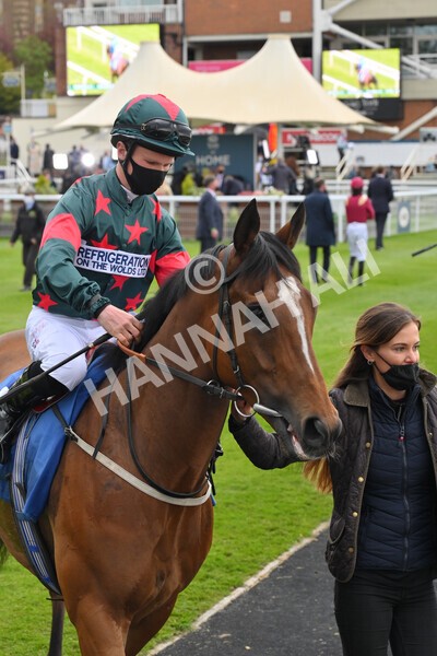 yr14052021r5-8 - Race 5 3.40pm The Jigsaw Sports Branding Handicap