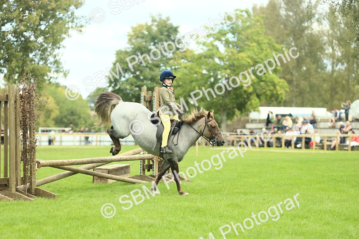 SBM_42767 - S30 - M&M Working hunter Pony
