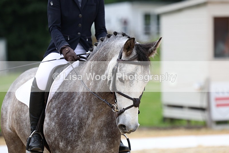 3E7A1714 - Class 2: Intro 2 2024 Section B