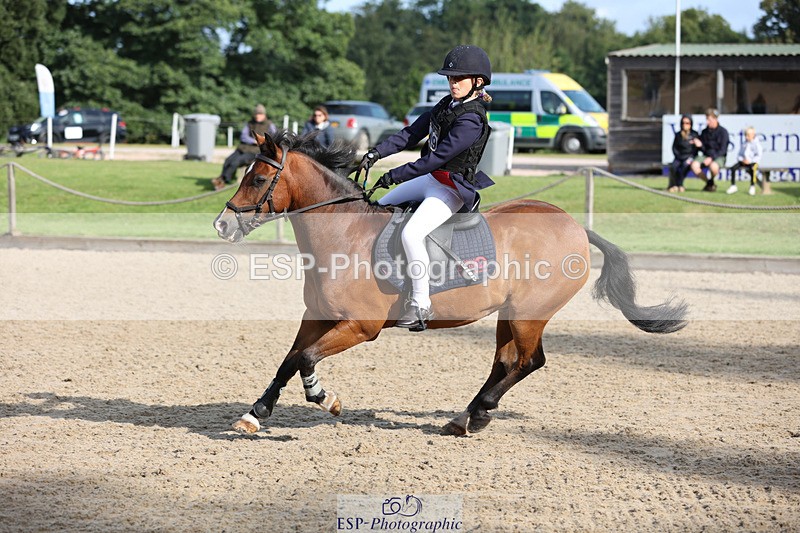 240823X-092017-14501 - 60cm R1 8.30 to 10.00