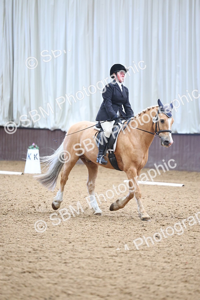 SBM_005414 - Class 3 - Novice 5