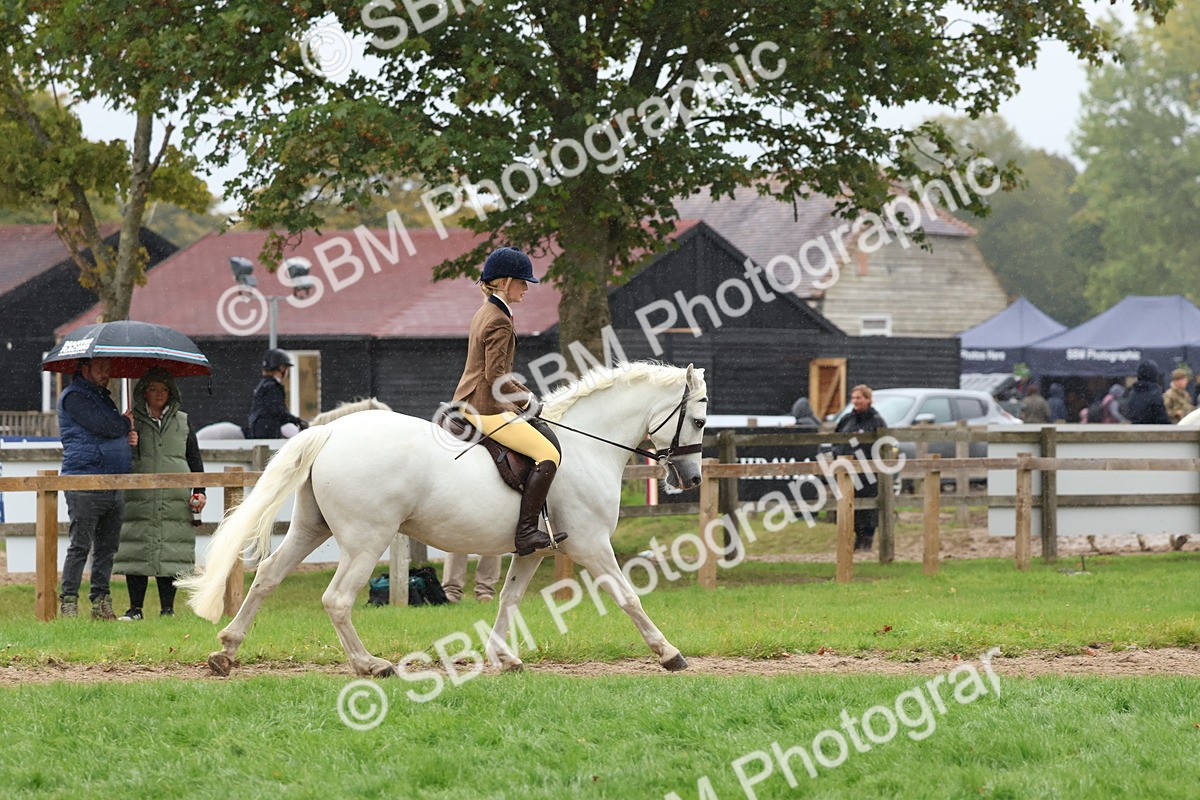 SBM_69684 - S62 - Mountain & Moorland Ridden Large Breeds