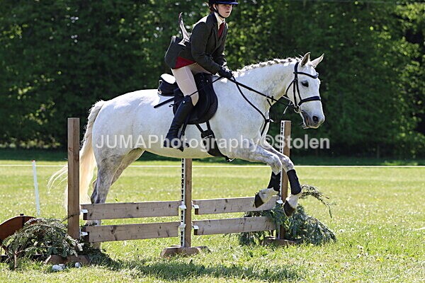 IMG_3537 - Working Hunter