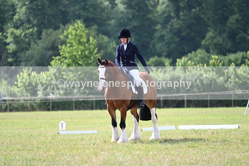 WJ7_1880 - Time 09:00 to 09:22