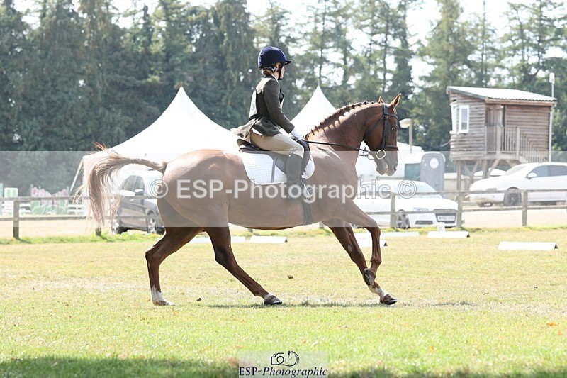 250823A-130740-29946 - Arena C