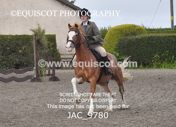 JAC_9780 - CLASS 2 Novice Working Hunter (0.60m - 0.70m)