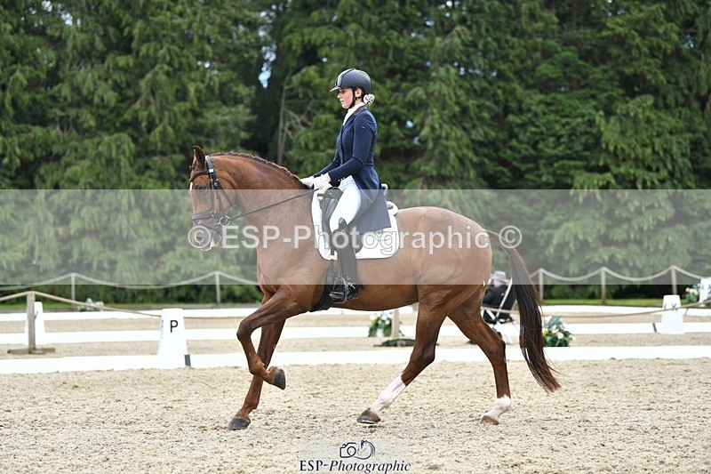 230812-140653-04596 - Cls 7 FEI PSG Bronze