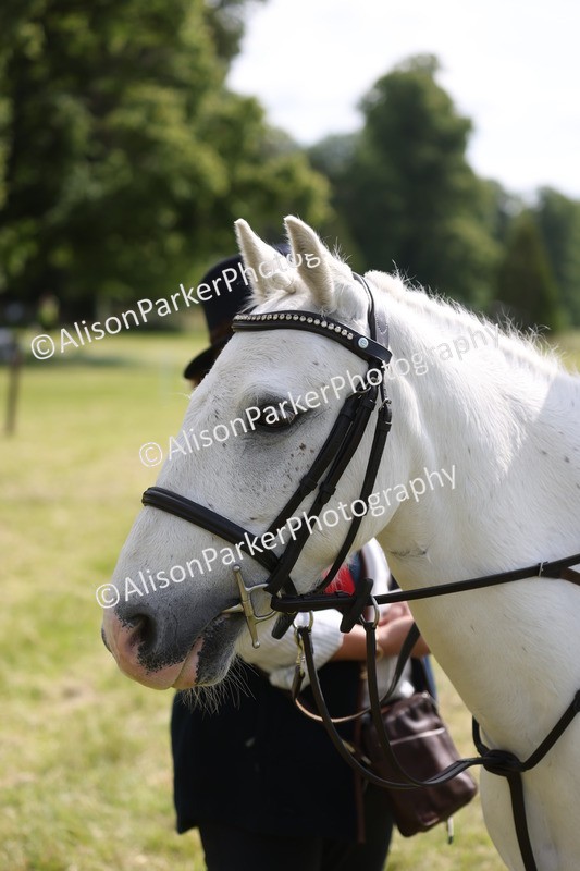 20260614-0643 - Class 20 - Beginners Working Hunter Pony