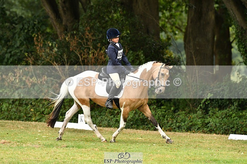 250820A-125025-05670 - 12 to 13.00