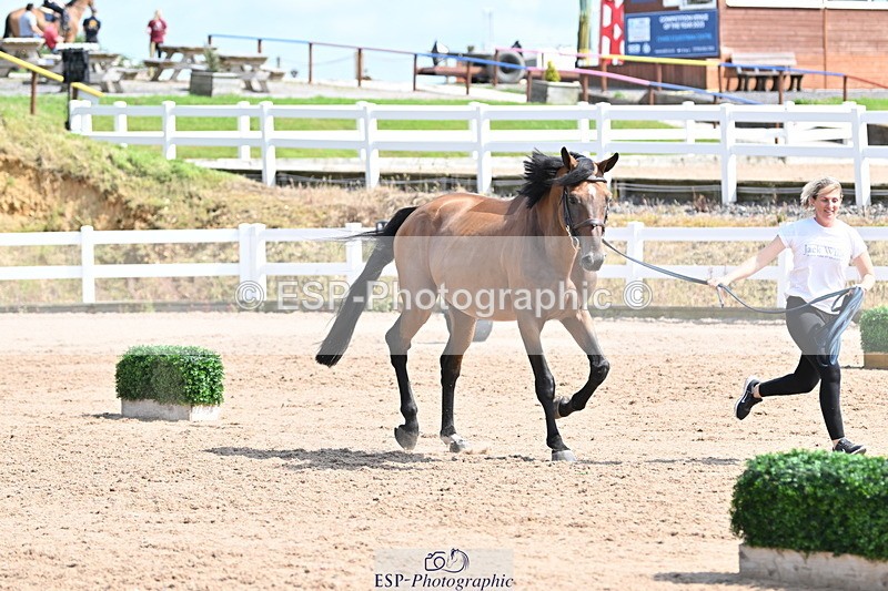 240717A-154324-03009 - Trot Up 3pm to 4pm