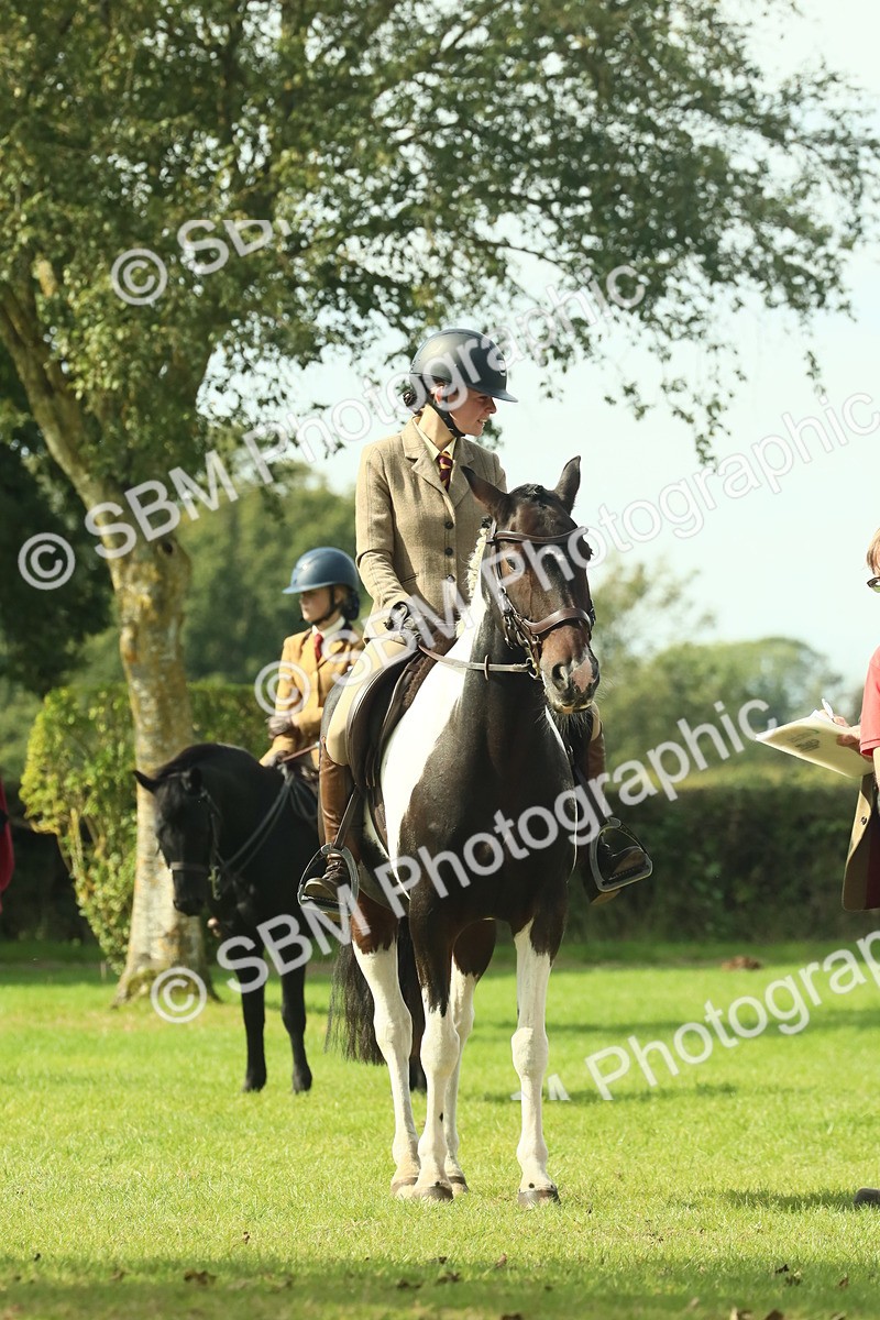 SBM_66520 - S34 - Rehabilitated Rescue Horse & Pony In Hand & Ridden
