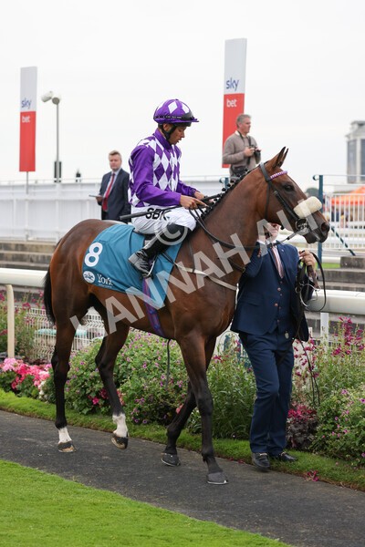 yr22072022r4-9 - Race 4 6.50pm The IRE Incentive It Pays To Buy Irish EBF Restricted Novice Stakes