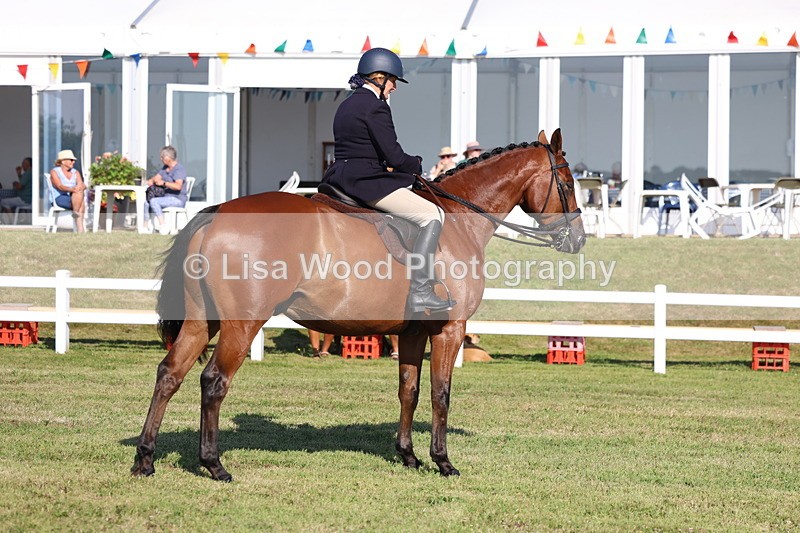 3E7A5518 - Class 2: Rising Star Large Hack/Riding Horse