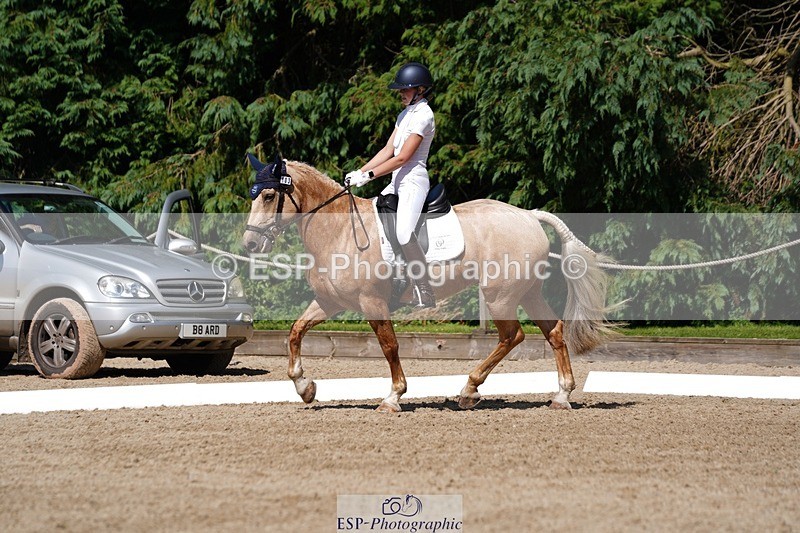 240719-154700-02761 - 103-Elissa_Franks-Golden_queen