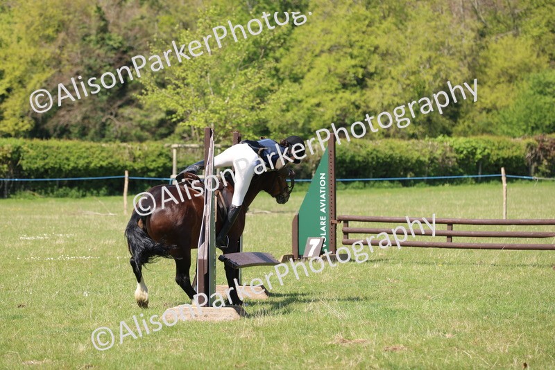 20250427-2565 - Class 20 - Working Hunter Ponies