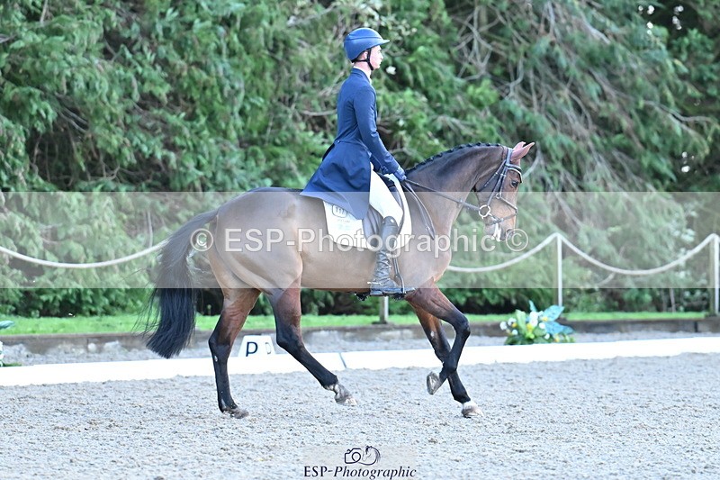 251023A-163918-05916 - A-017-Harrison.Chart