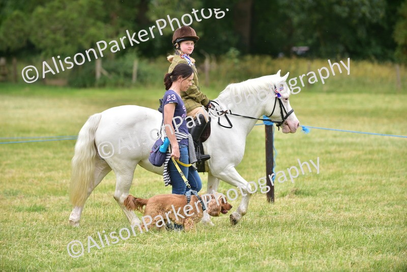 20260614-4520 - Class 19 - Cutest Pony, Rider and Dog Combination
