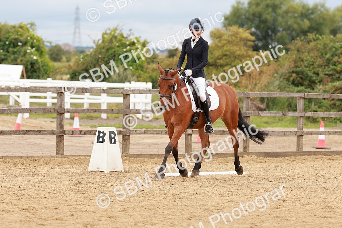 SBM_002650 - Novice 2