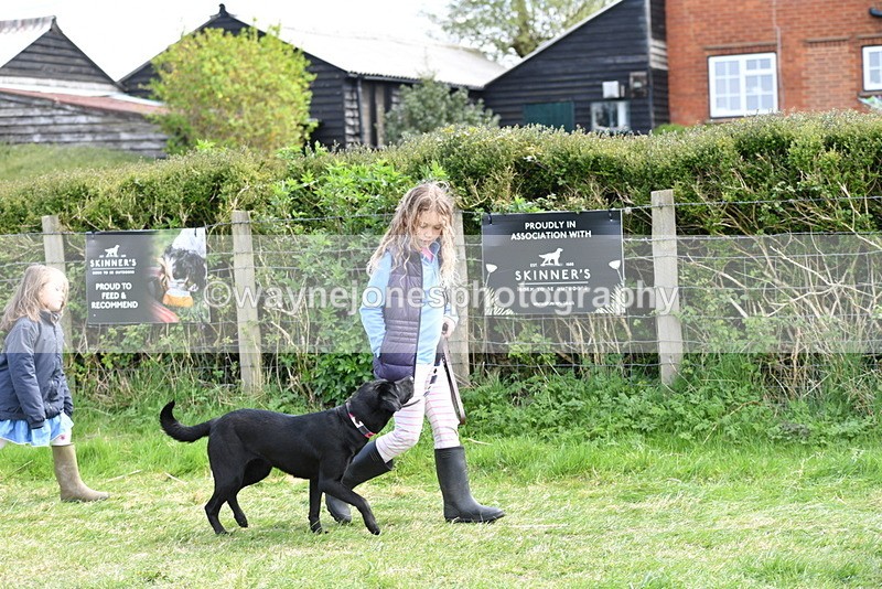 WJ5_0784 - Best in Show Championship