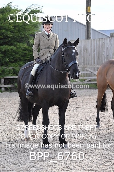 BPP_6760 - RING 1  (RIDDEN HORSES / IN HAND / VETERAN ETC)