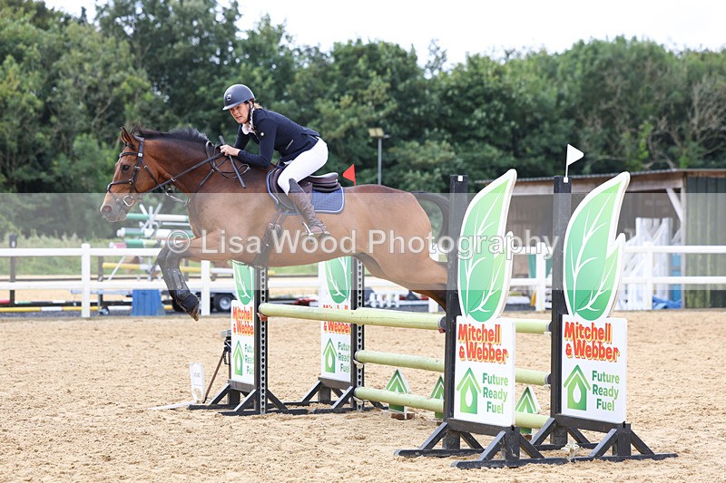 3E7A0086 - Class 9: Senior British Novice/90cm open