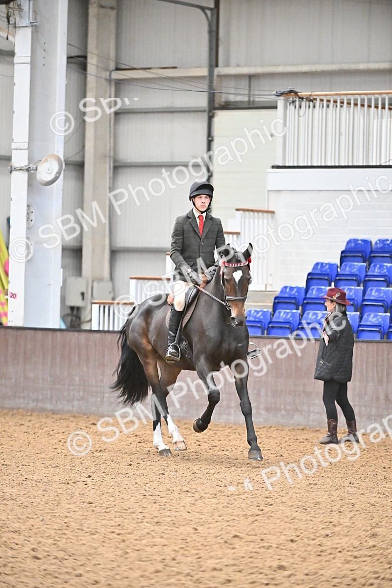 SBM_001462 - Class 19,20 - Ridden Native, Foreign Breeds & Warmbloods