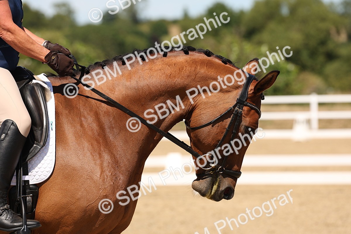 SBM_002925 - Elementary 4