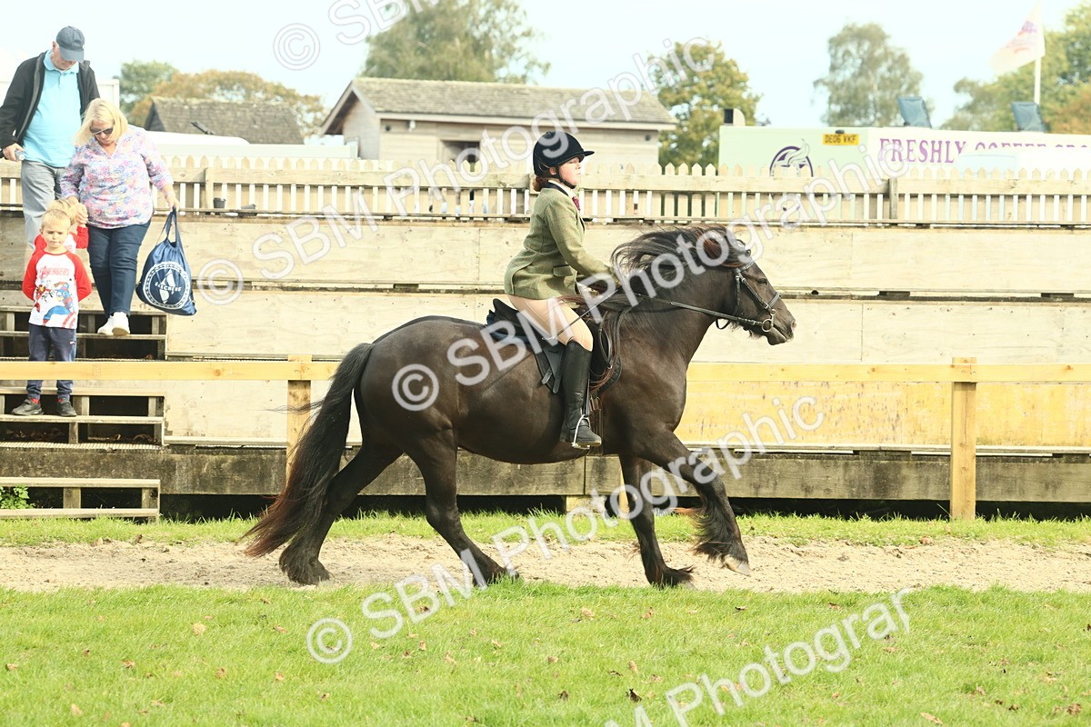SBM_69364 - S58 - Mini Show Cob Ridden