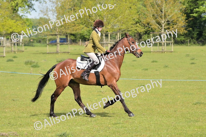 20260426-1126 - Class 19 - Retraining Of Racehorses